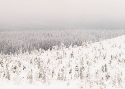 Sneeuwlandschap in Kuusamo