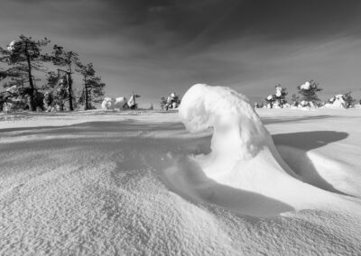 zwarte wit foto van besneeuwd landschap omgeving Kuusamo