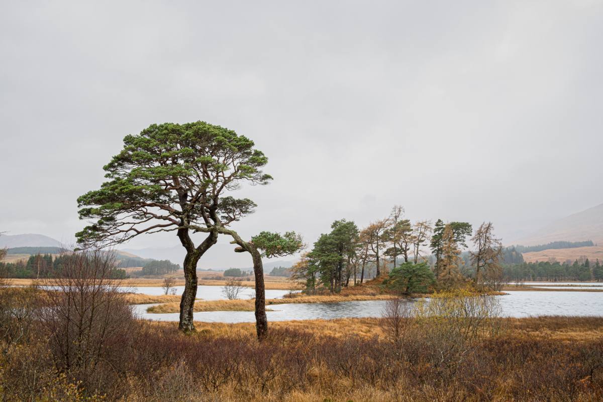 Loch_Tulla Glencoe