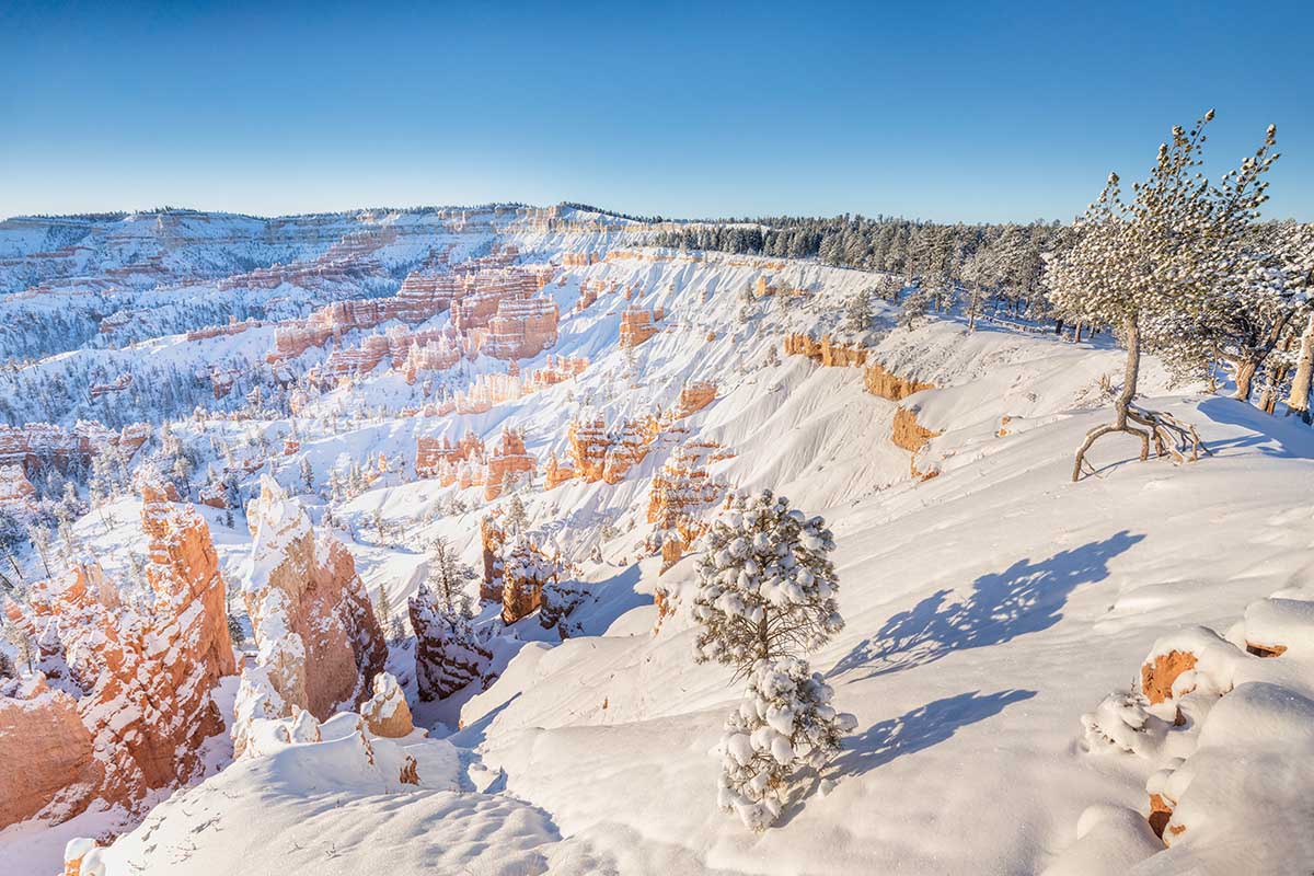 Bryce Canyon Rim