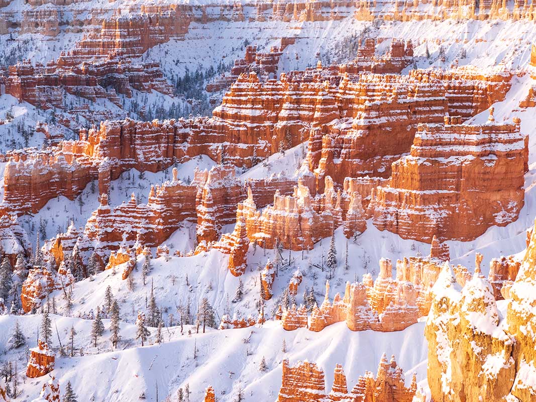 Bryce hoodoos in de sneeuw