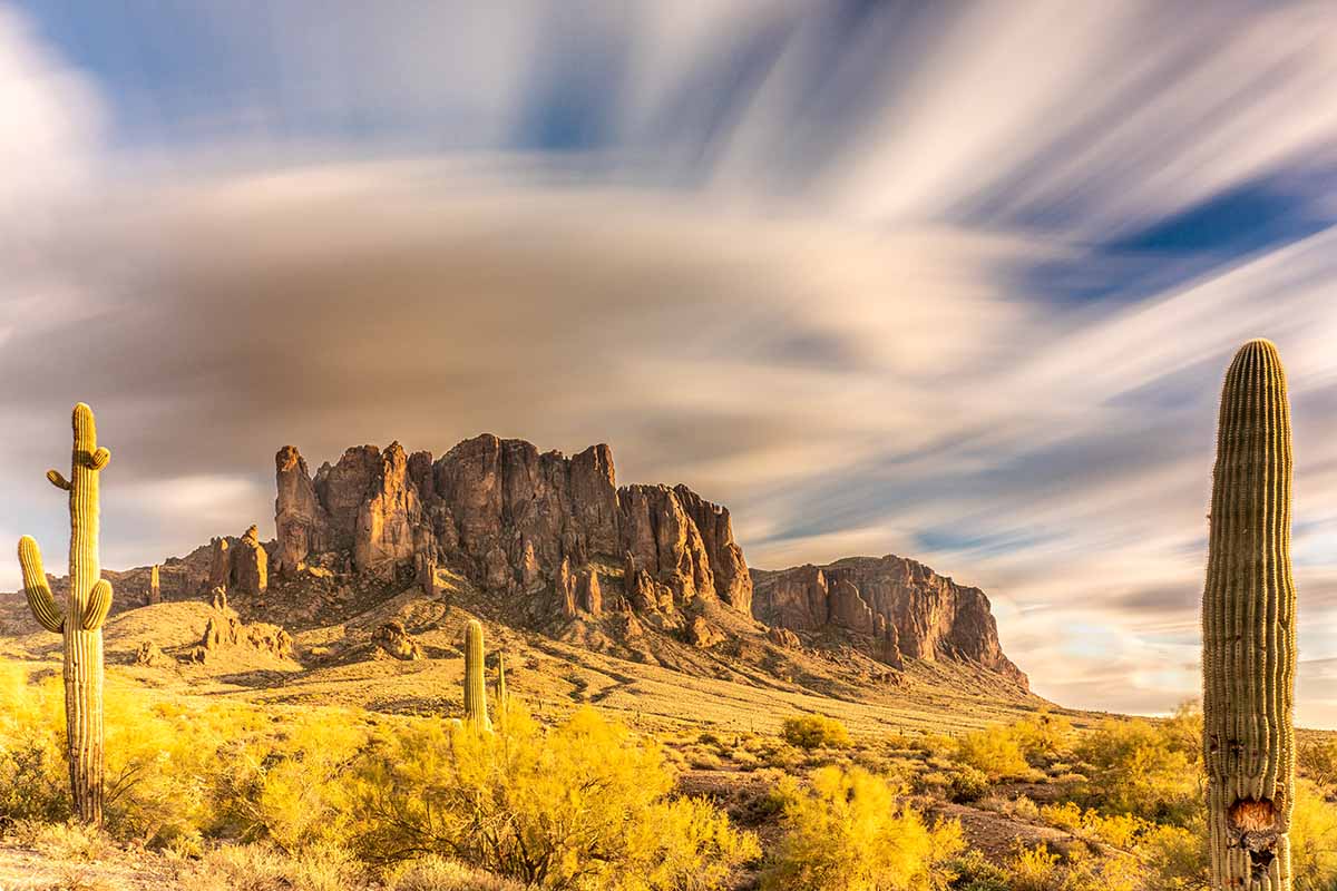 Cactus landschap met bergenLost Dutchman Stae Park