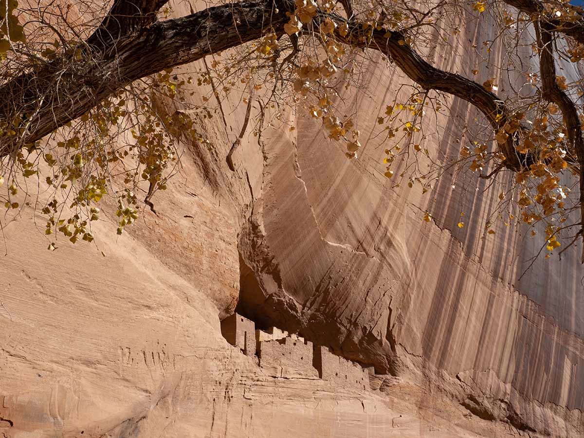 Canyon de Chelly White house ruins