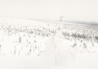 Panorama-uitzicht-Kuusamo-fotoreis