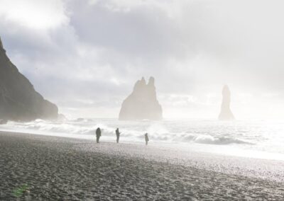 Ruige zee zwarte strand IJsland