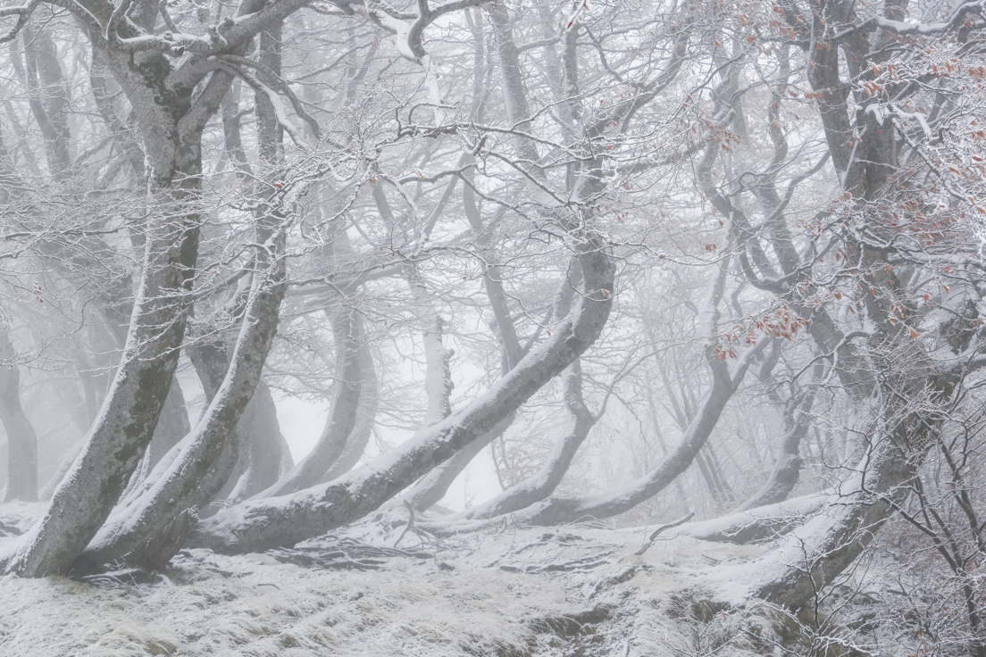 Foto van de besneeuwde bergtoppen gemaakt door reisfotograaf Johan Lolos