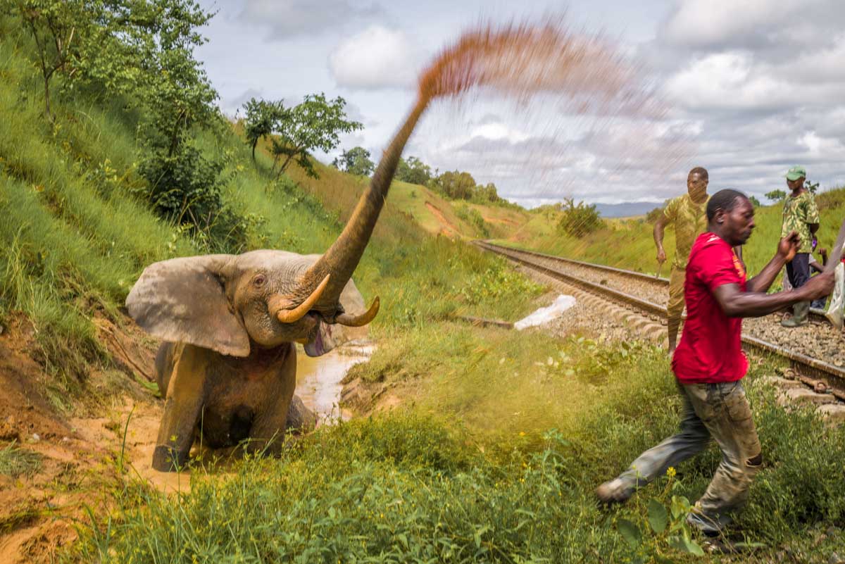 Foto van boom in meer gemaakt door reisfotograaf Johan Lolos