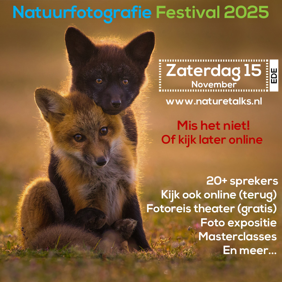 Nature Talks Photo Festival 2024